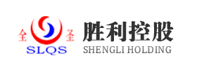 重庆胜利控股有限公司